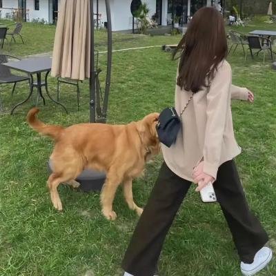 维特