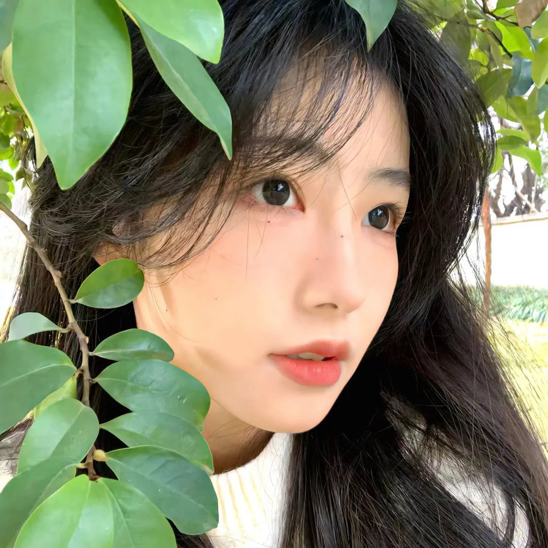 白犀牛